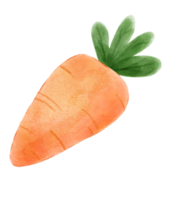 schattig oranje wortel waterverf fruit hand- tekening illustratie png