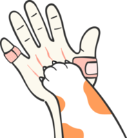 cute kitten cat paw hand on human hand love and team work concept cartoon drawing png