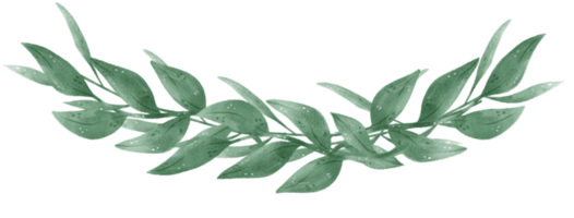 acuarela verde hoja follaje guirnalda marco mano dibujado ilustración png