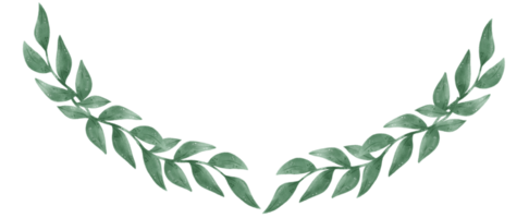 waterverf groen blad gebladerte krans kader hand- getrokken illustratie png