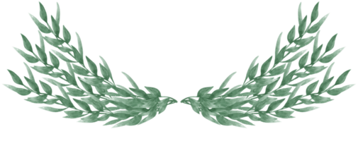 aquarelle vert feuille feuillage couronne Cadre main tiré illustration png