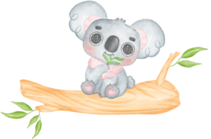 Cute Fuzzy-Eared innocence baby Koala on a tree branch watercolour Illustration png