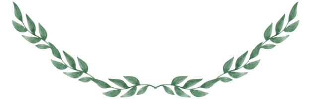 watercolour green leaf foliage wreath frame hand drawn illustration png