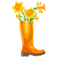 Rubber boot with daffodils. Cute rain boot with flower plants. Cartoon spring print, card, poster  illustration png