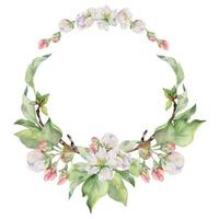 Hand drawn watercolor apple flowers, branches and leaves, white, pink and green blossom. Circle round wreath. Isolated on white background. Design for wall art, wedding, print, fabric, cover, card. vector