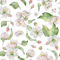 Hand drawn watercolor apple blossom, white and red flowers and green leaves. Seamless pattern. Isolated object on white background. Design for wall art, wedding, print, fabric, cover, card. vector