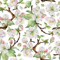 Hand drawn watercolor apple blossom, white and red flowers and green leaves. Seamless pattern. Isolated object on white background. Design for wall art, wedding, print, fabric, cover, card. vector