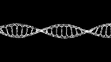 adn molécula es hilado en un negro antecedentes. genético Ingenieria y biología. gene animación video