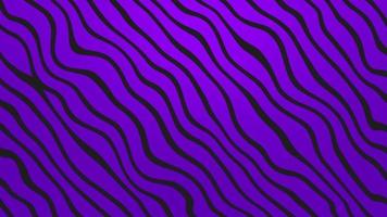 Purple background with black stripes, zebra design abstract layout. Moving motion design backdrop video