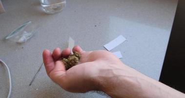 uomo Tenere marijuana mini cuffie nel mano. canapa per medico o ricreativo uso. erba nel mani video