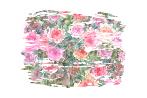 bloem sublimatie clip art PNG