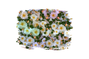 Flower Sublimation Clipart PNG