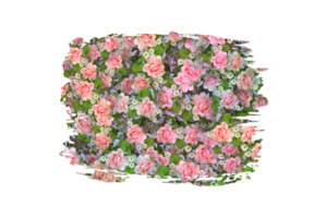 blomma sublimering ClipArt png