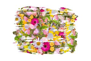 Flower Sublimation Clipart PNG