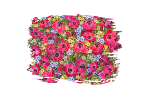 flor sublimação clipart png