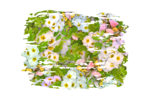 bloem sublimatie clip art PNG