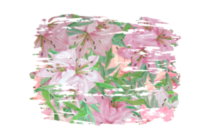 bloem sublimatie clip art PNG
