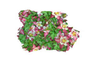 flor sublimación clipart png