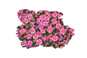 Flower Sublimation Clipart PNG