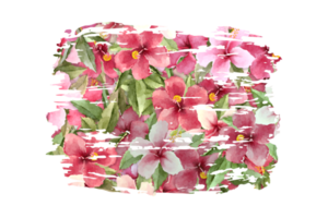 Flower Sublimation Clipart PNG