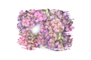 Blume Sublimation Clip Art png