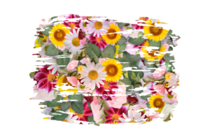 flor sublimação clipart png