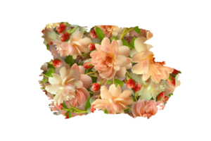 fleur sublimation clipart png