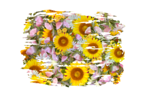 flor sublimación clipart png