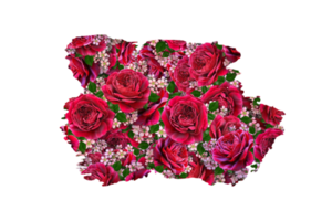 flor sublimação clipart png