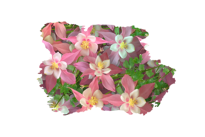 flor sublimação clipart png