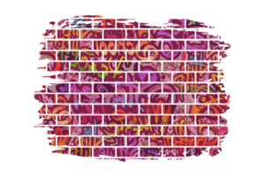 graffiti brique mur sublimation clipart png