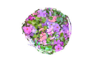 bloem sublimatie clip art PNG