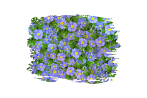 Flower Sublimation Clipart PNG