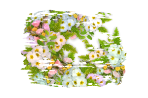 fleur sublimation clipart png