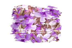 bloem sublimatie clip art PNG