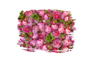 Flower Sublimation Clipart PNG