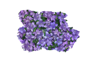 Blume Sublimation Clip Art png