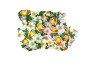 Flower Sublimation Clipart PNG