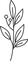 Hand Drawn Wild Flower Line Art Element Illustration png