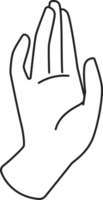 elegant hand- getrokken lijn kunst element illustratie png