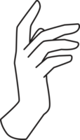 Elegant Hand Drawn Line Art Element Illustration png