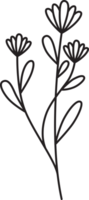 Hand Drawn Wild Flower Line Art Element Illustration png