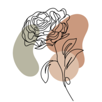 Aesthetic Rose Line Art Collection png