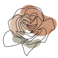 Aesthetic Rose Line Art Collection png