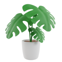 Monstera in a pot. Tropical plant for interior decor of home or office.3d icon cartoon style.rendering illustration png