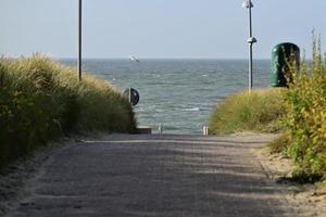 Path to the north sea as a close up photo