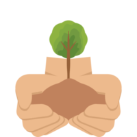 två hand innehav ger träd växt natur liv grön png