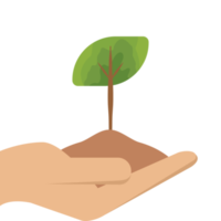 einer Hand halten Baum Pflanze Leben Grün Natur png