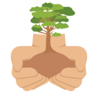 donner des mains d'arbre tenir des arbres verts environnement naturel protection de la nature png