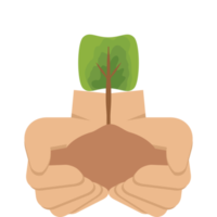 dos mano participación dando árbol planta naturaleza vida verde png